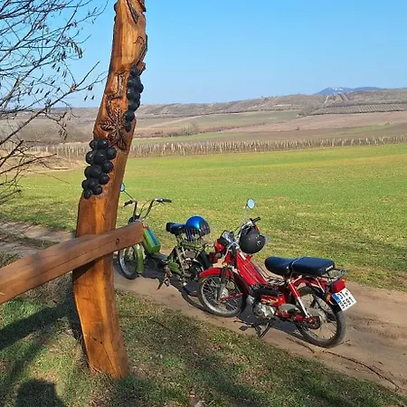 U Tri Borovic